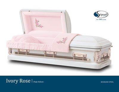 Ivory Rose