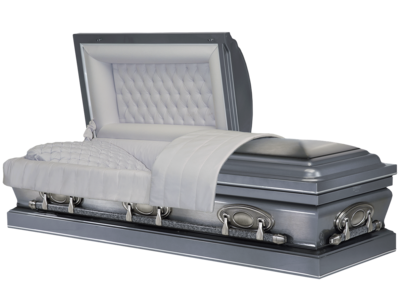 3851 Silver Pearl Brushed